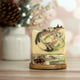 Sweet Anise